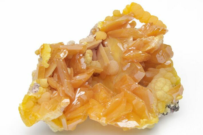 Wulfenite & Botryoidal Mimetite Association - Top Quality! #115173